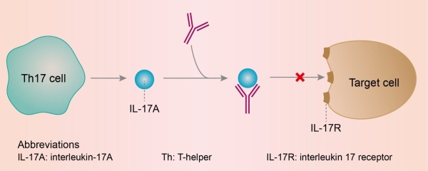 Secukinumab trong điều trị vảy nến thể mảng