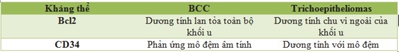 Phân biệt BCC và trichoepitheliomas, Bs. Lê Thị Hải Yến, Bệnh viện Da liễu Trung ương